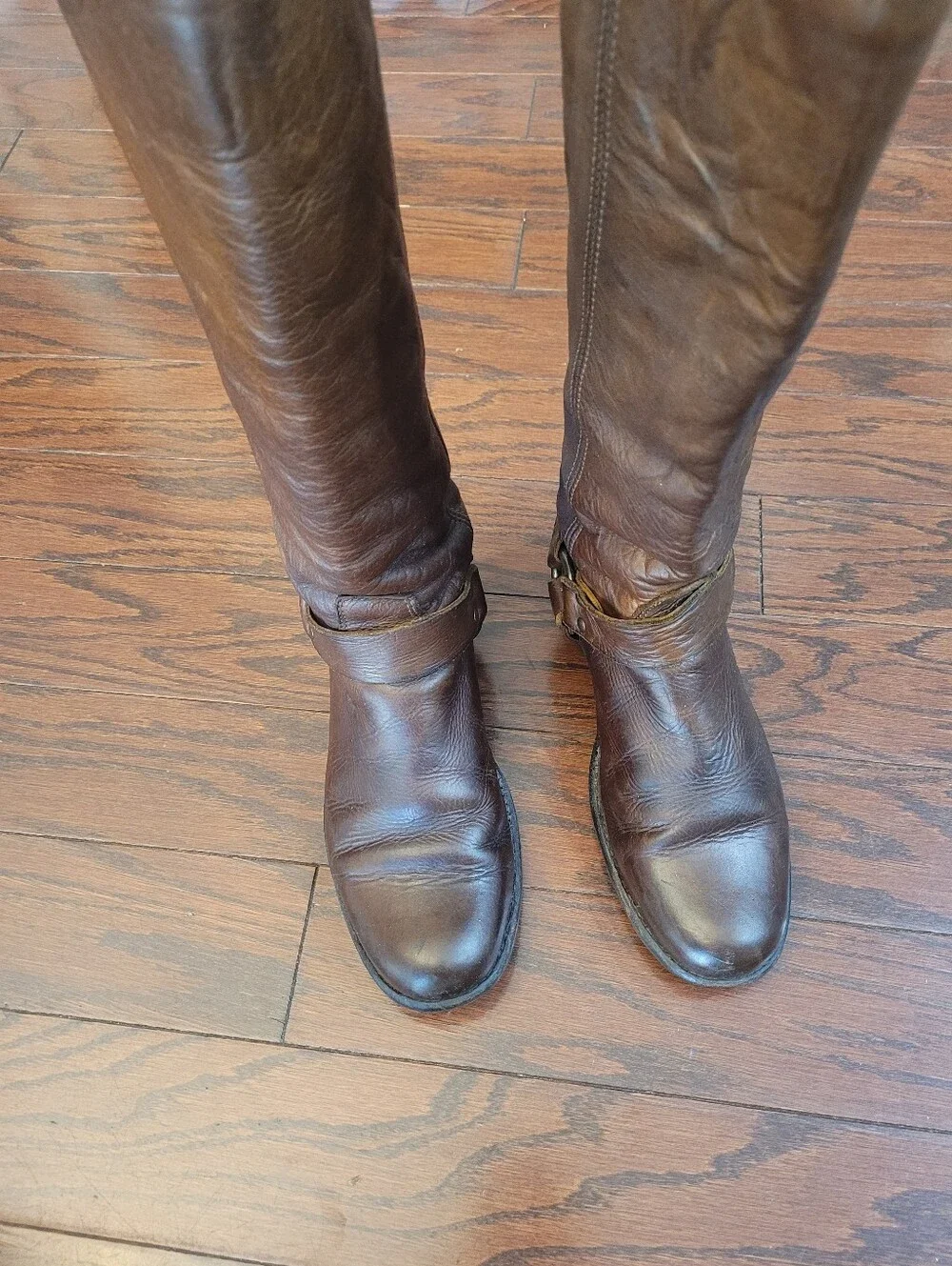 Frye Phillip Harmess Women’s Tall Brown Leather Riding Boots. Size 8B